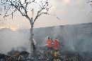 Kebakaran beruntun terjadi pada 2 tempat di Kota Denpasar, kali ini rumah bedeng pemulung yang merambat ke rumah sekaligus gudang barang kapal Ratu buah Hangus Terbakar